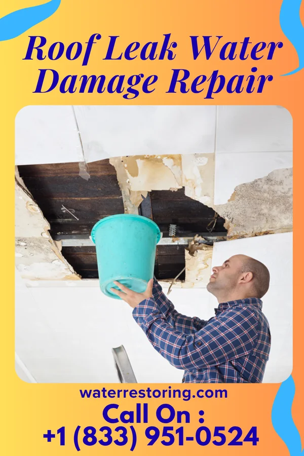 Roof Leak Water Damage Repair in Cedar Grove, WI