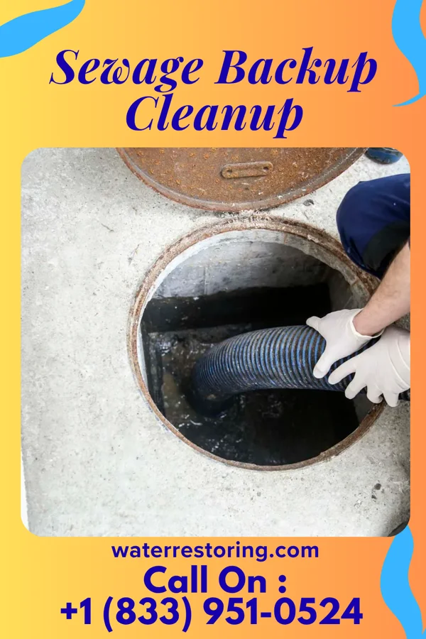 Sewage Backup Cleanup in Cedar Grove, WI