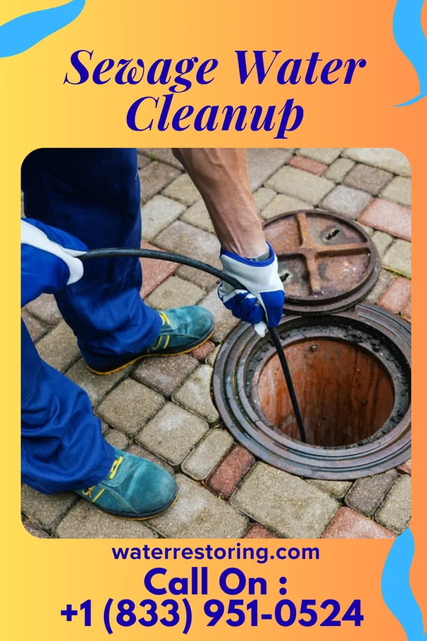 Sewage Water Cleanup in Cedar Grove, WI