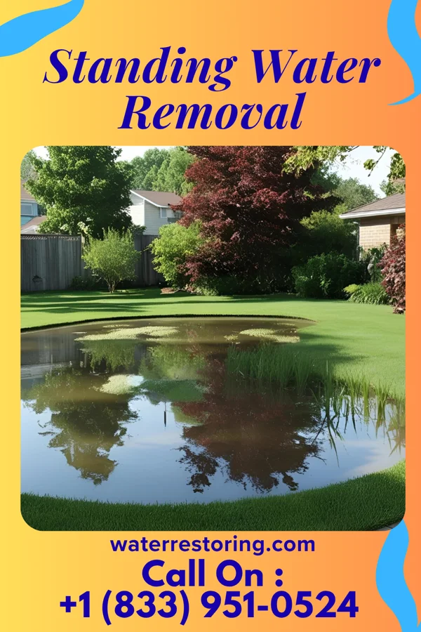 Standing Water Removal in Cedar Grove, WI